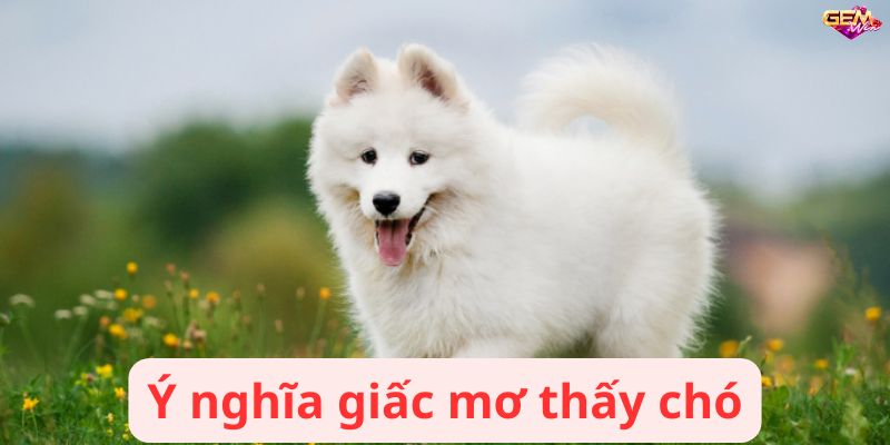 mo thay cho 1
